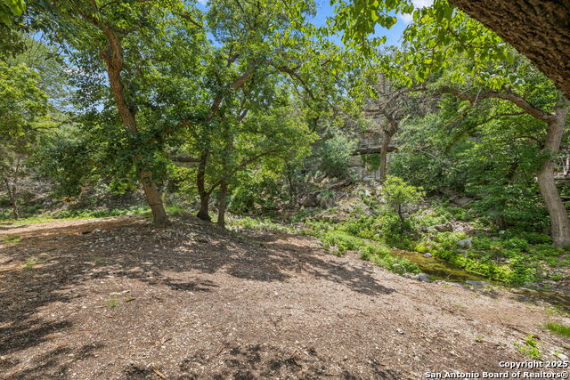 Listing photo id 15 for 000 Pitre Springs Road