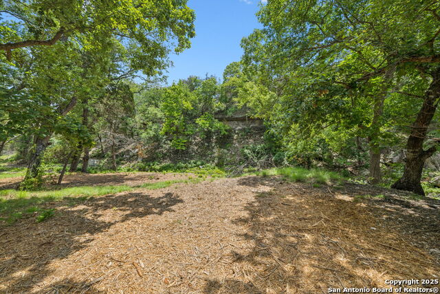 Listing photo id 16 for 000 Pitre Springs Road