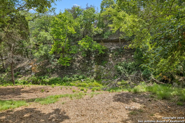 Listing photo id 17 for 000 Pitre Springs Road