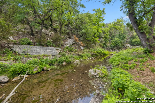Listing photo id 0 for 000 Pitre Springs Road