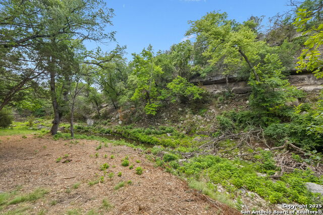 Listing photo id 18 for 000 Pitre Springs Road