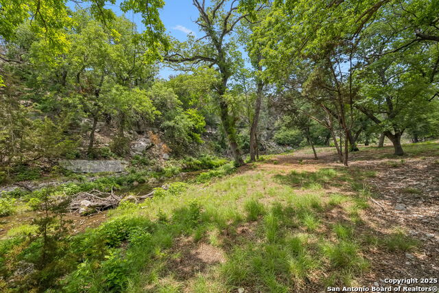 Listing photo id 19 for 000 Pitre Springs Road