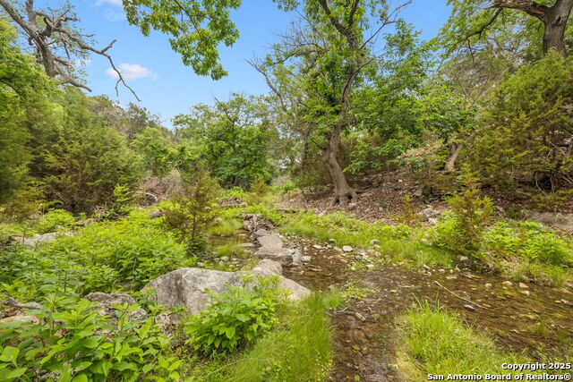 Listing photo id 20 for 000 Pitre Springs Road
