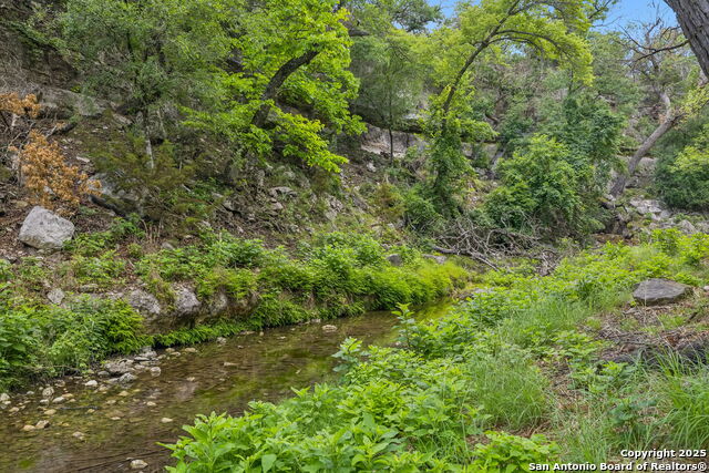 Listing photo id 21 for 000 Pitre Springs Road