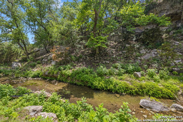 Listing photo id 22 for 000 Pitre Springs Road
