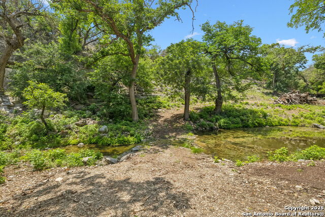 Listing photo id 23 for 000 Pitre Springs Road