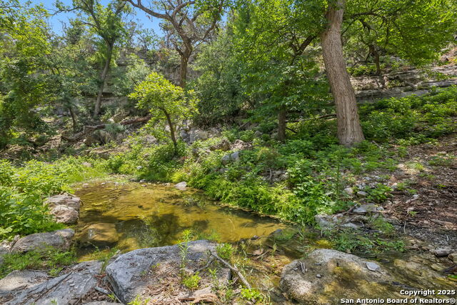 Listing photo id 24 for 000 Pitre Springs Road