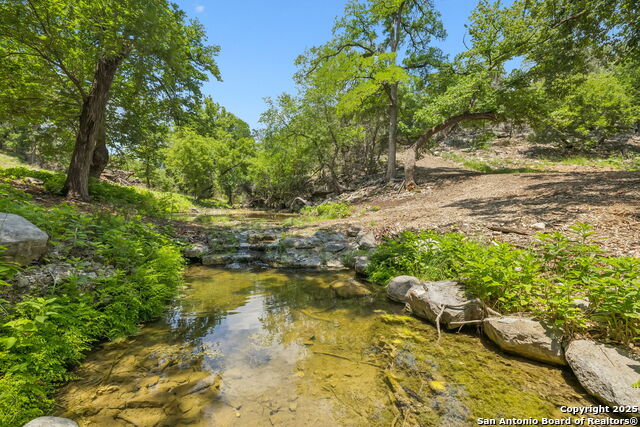 Listing photo id 25 for 000 Pitre Springs Road