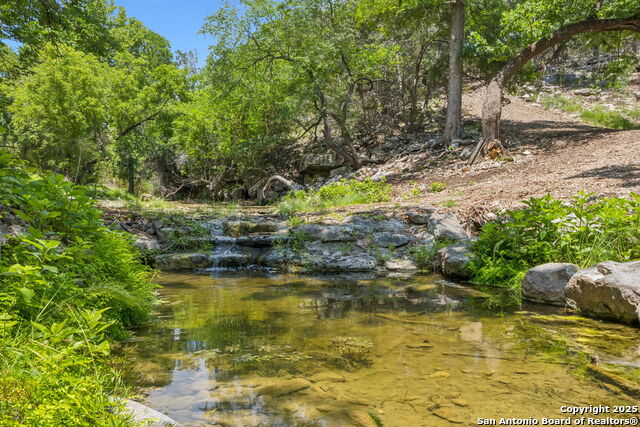 Listing photo id 26 for 000 Pitre Springs Road