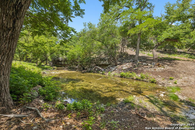 Listing photo id 27 for 000 Pitre Springs Road