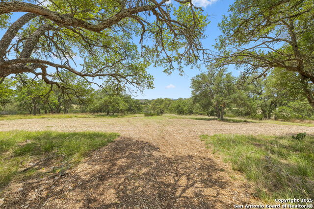 Listing photo id 1 for 000 Pitre Springs Road