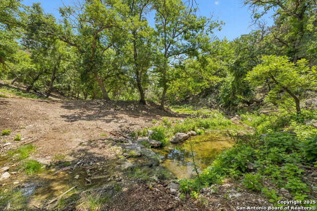 Listing photo id 29 for 000 Pitre Springs Road