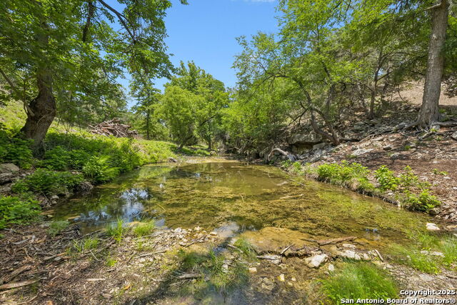 Listing photo id 30 for 000 Pitre Springs Road