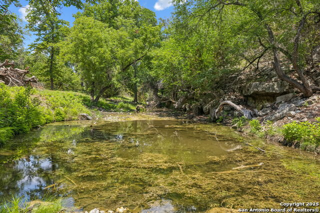 Listing photo id 31 for 000 Pitre Springs Road