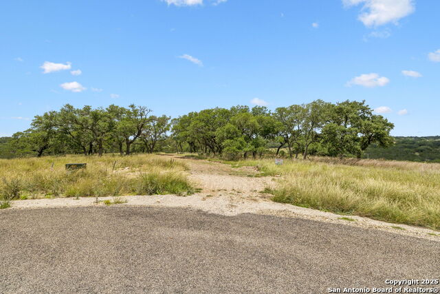 Listing photo id 2 for 000 Pitre Springs Road
