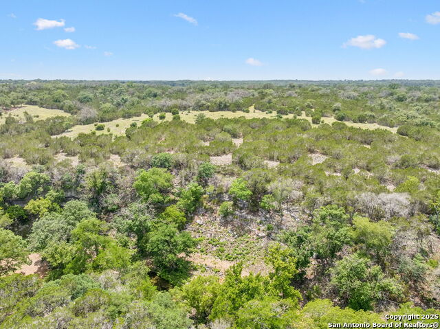 Listing photo id 38 for 000 Pitre Springs Road