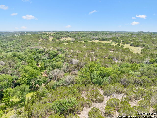 Listing photo id 39 for 000 Pitre Springs Road