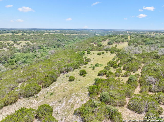 Listing photo id 42 for 000 Pitre Springs Road