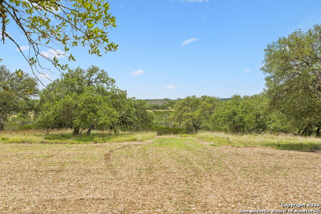 Listing photo id 3 for 000 Pitre Springs Road