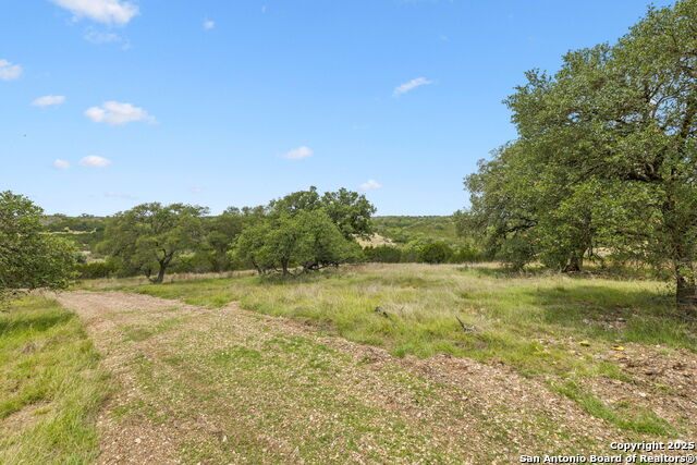 Listing photo id 4 for 000 Pitre Springs Road