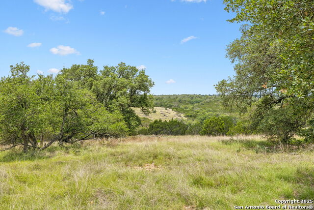 Listing photo id 5 for 000 Pitre Springs Road