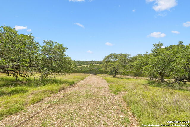 Listing photo id 6 for 000 Pitre Springs Road