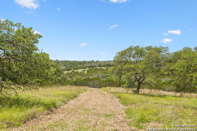 Listing photo id 7 for 000 Pitre Springs Road