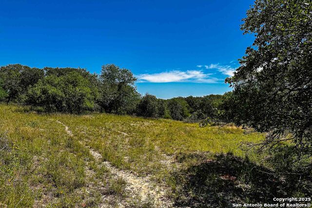 Listing photo id 8 for 000 Fm 1303  