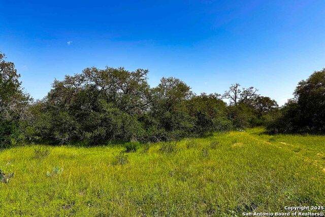 Listing photo id 10 for 000 Fm 1303  