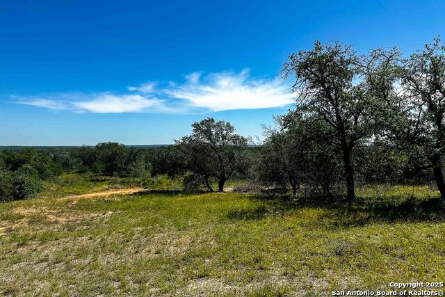 Listing photo id 11 for 000 Fm 1303  