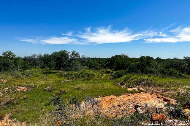 Listing photo id 12 for 000 Fm 1303  