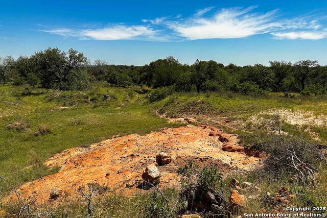 Listing photo id 13 for 000 Fm 1303  