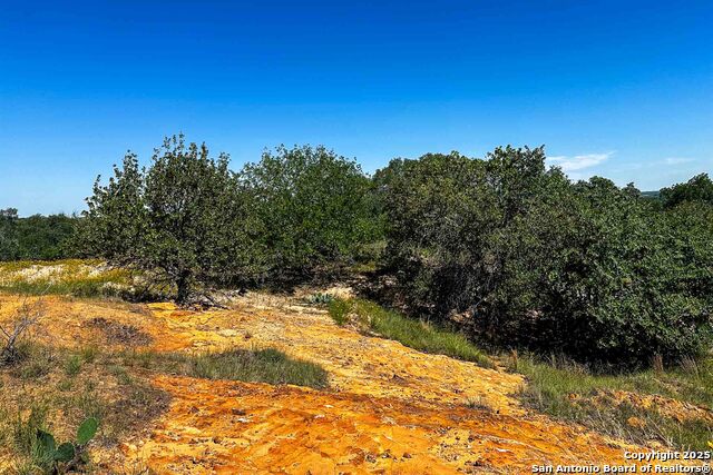 Listing photo id 14 for 000 Fm 1303  