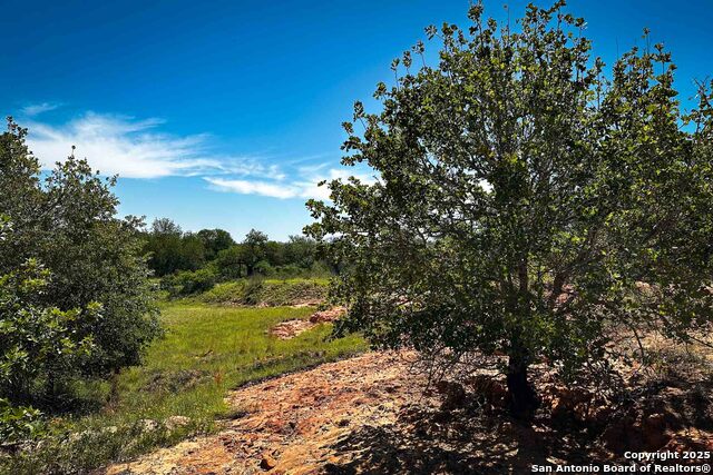 Listing photo id 15 for 000 Fm 1303  