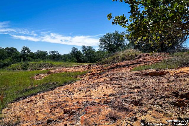 Listing photo id 16 for 000 Fm 1303  