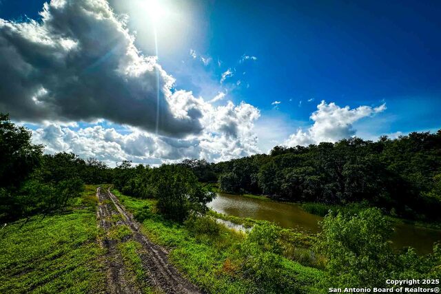 Listing photo id 0 for 000 Fm 1303  