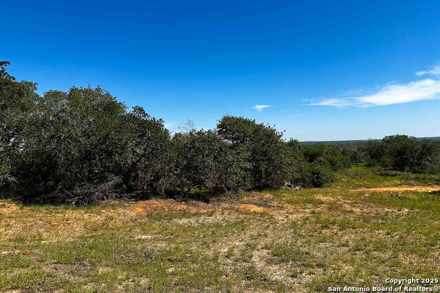 Listing photo id 18 for 000 Fm 1303  