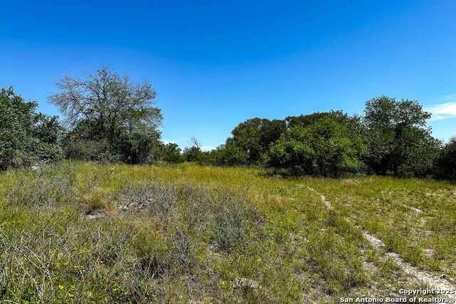 Listing photo id 19 for 000 Fm 1303  