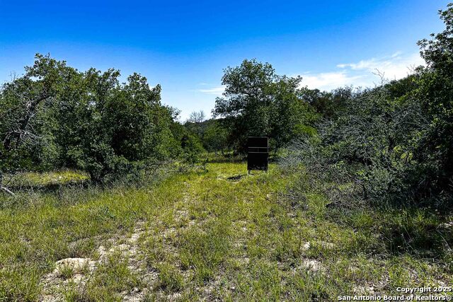 Listing photo id 20 for 000 Fm 1303  