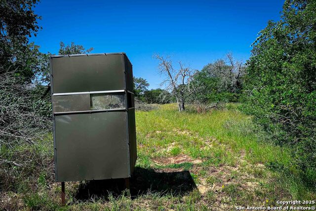 Listing photo id 21 for 000 Fm 1303  