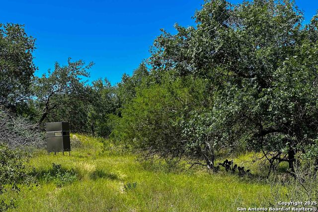 Listing photo id 22 for 000 Fm 1303  