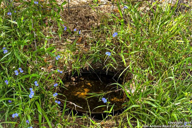 Listing photo id 25 for 000 Fm 1303  