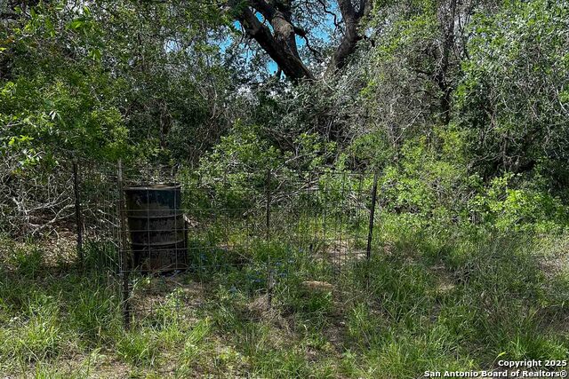 Listing photo id 26 for 000 Fm 1303  