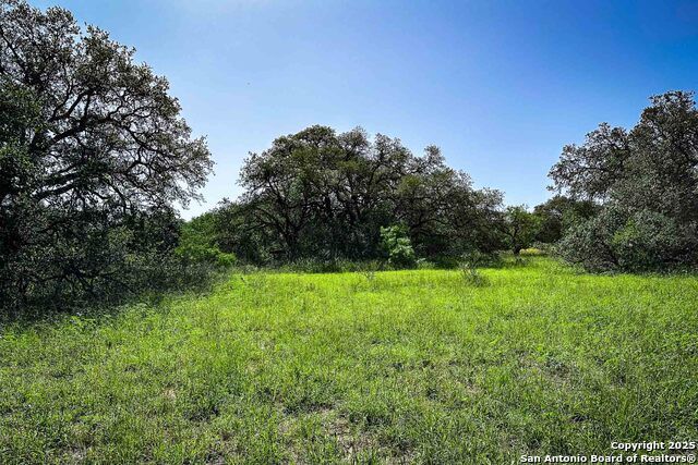 Listing photo id 27 for 000 Fm 1303  