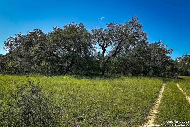 Listing photo id 28 for 000 Fm 1303  