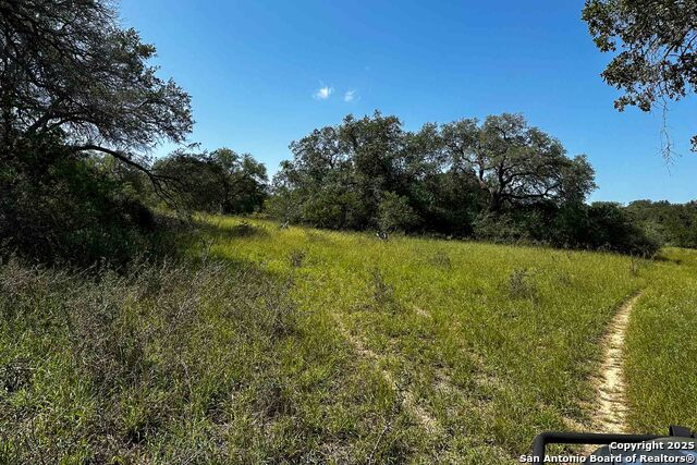 Listing photo id 30 for 000 Fm 1303  