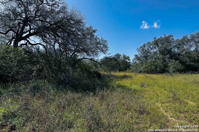 Listing photo id 32 for 000 Fm 1303  