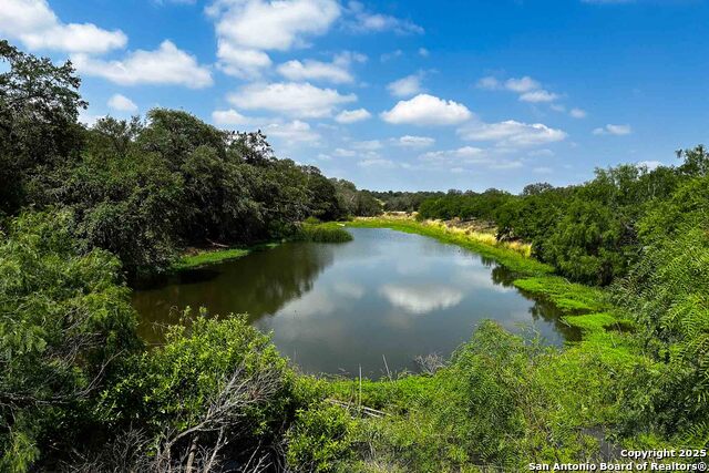 Listing photo id 33 for 000 Fm 1303  