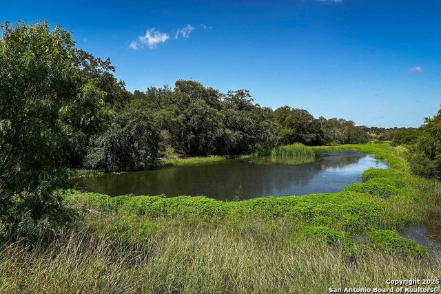 Listing photo id 35 for 000 Fm 1303  