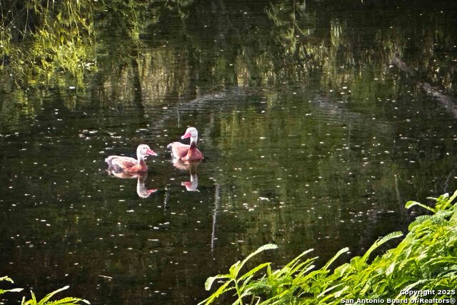 Listing photo id 36 for 000 Fm 1303  